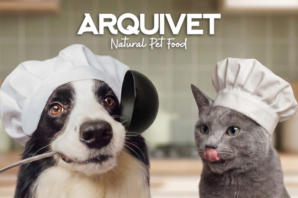 ARQUIVET, SLU