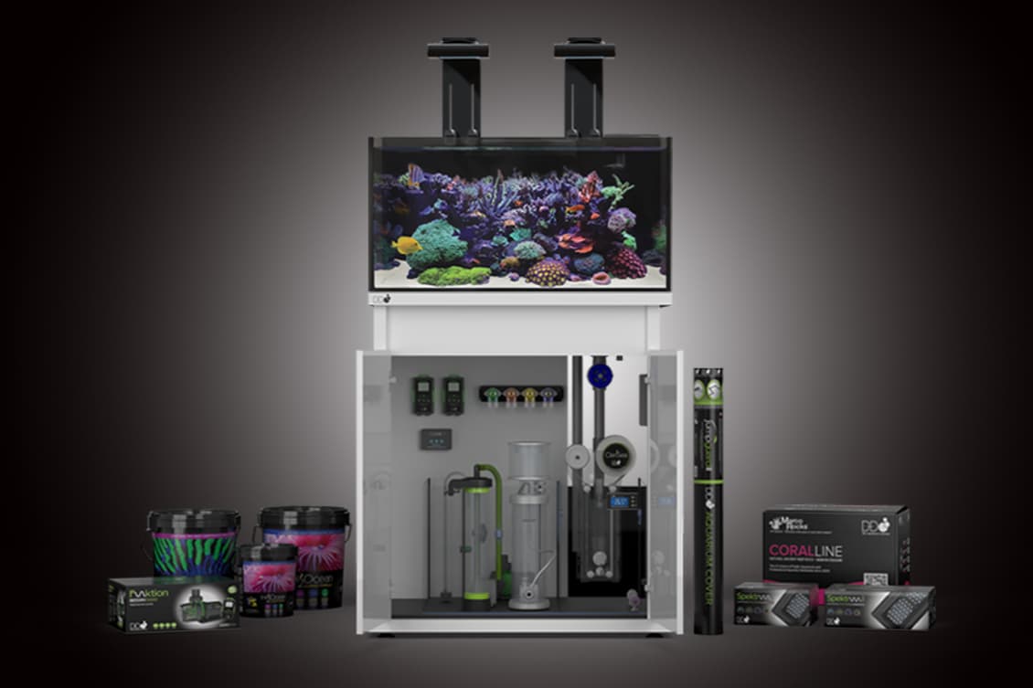 D-D The Aquarium Solution Ltd.