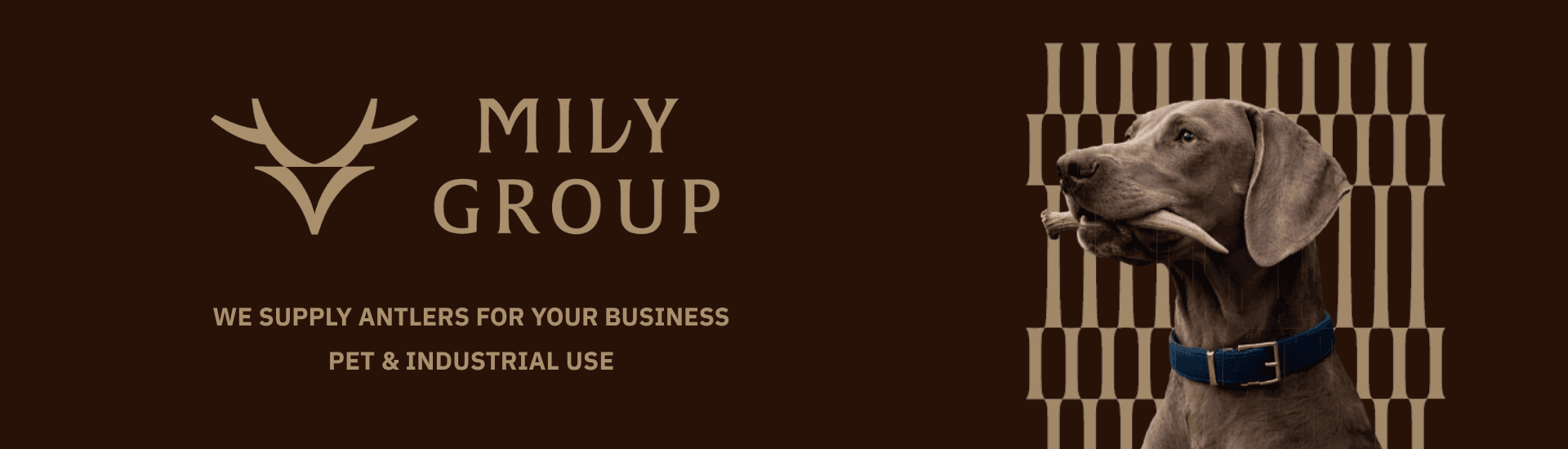Mily Group Sp. z o. o.