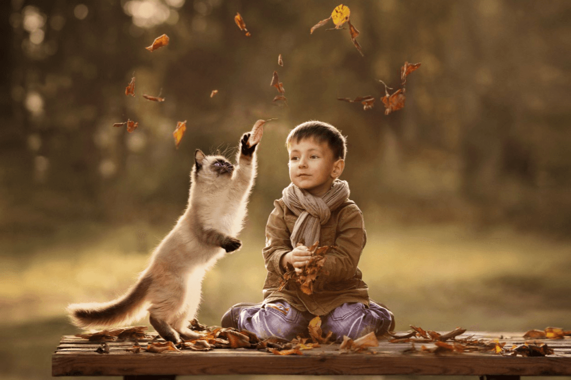 Petcurean Pet Nutrition