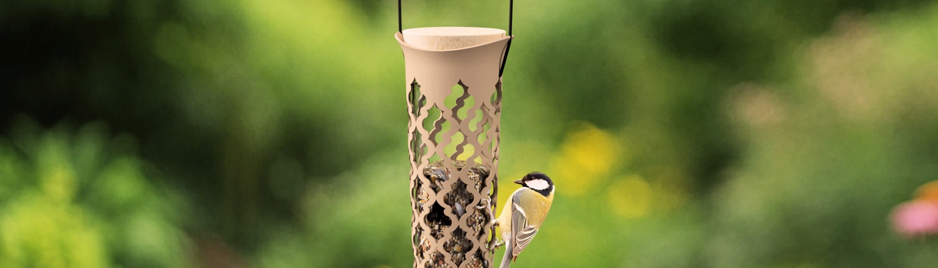 Fauna BV - Singing Friend