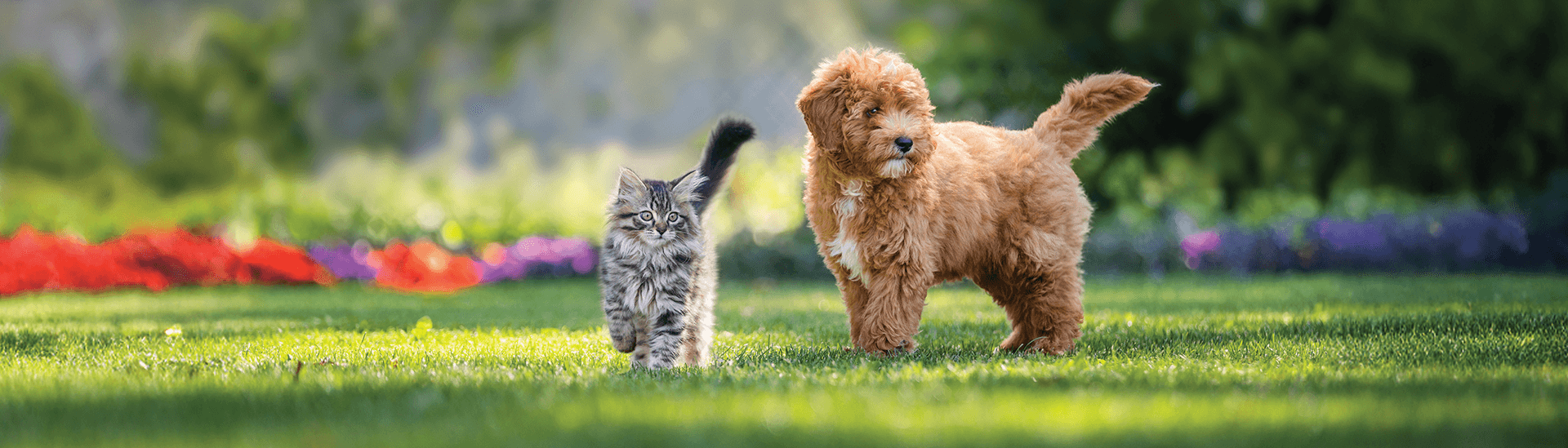 Vobra Special Petfoods BV
