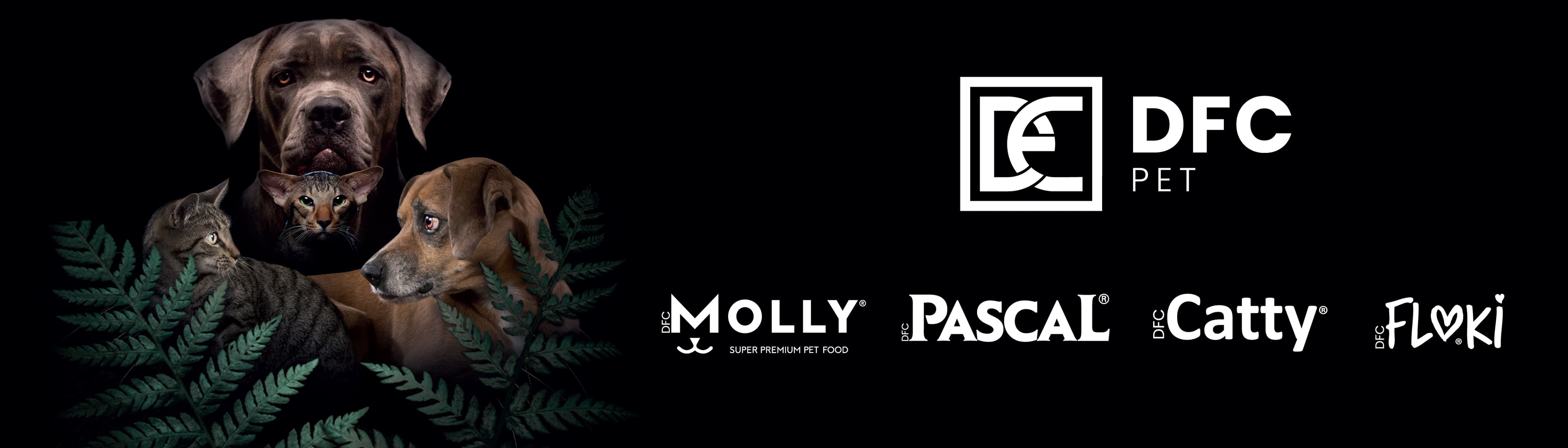 DFC PET İÇ VE DIŞ TİC.LTD.ŞTİ.