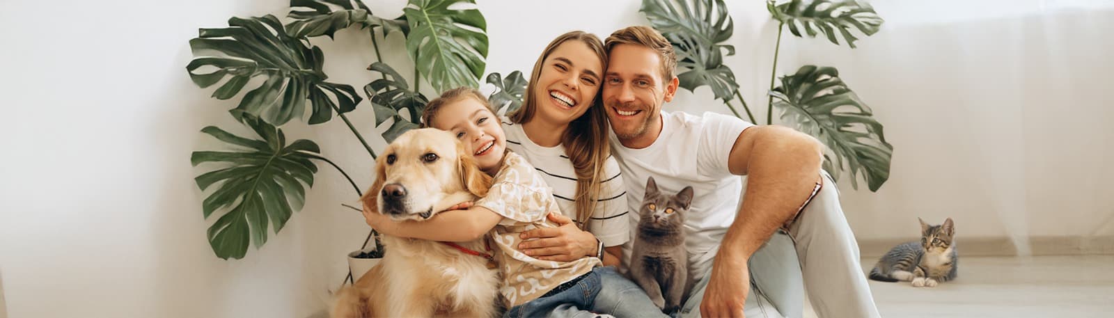 IFL Pharma - Pet Right